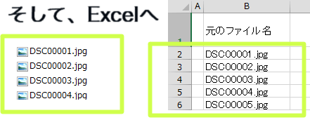 導かれしモノたち